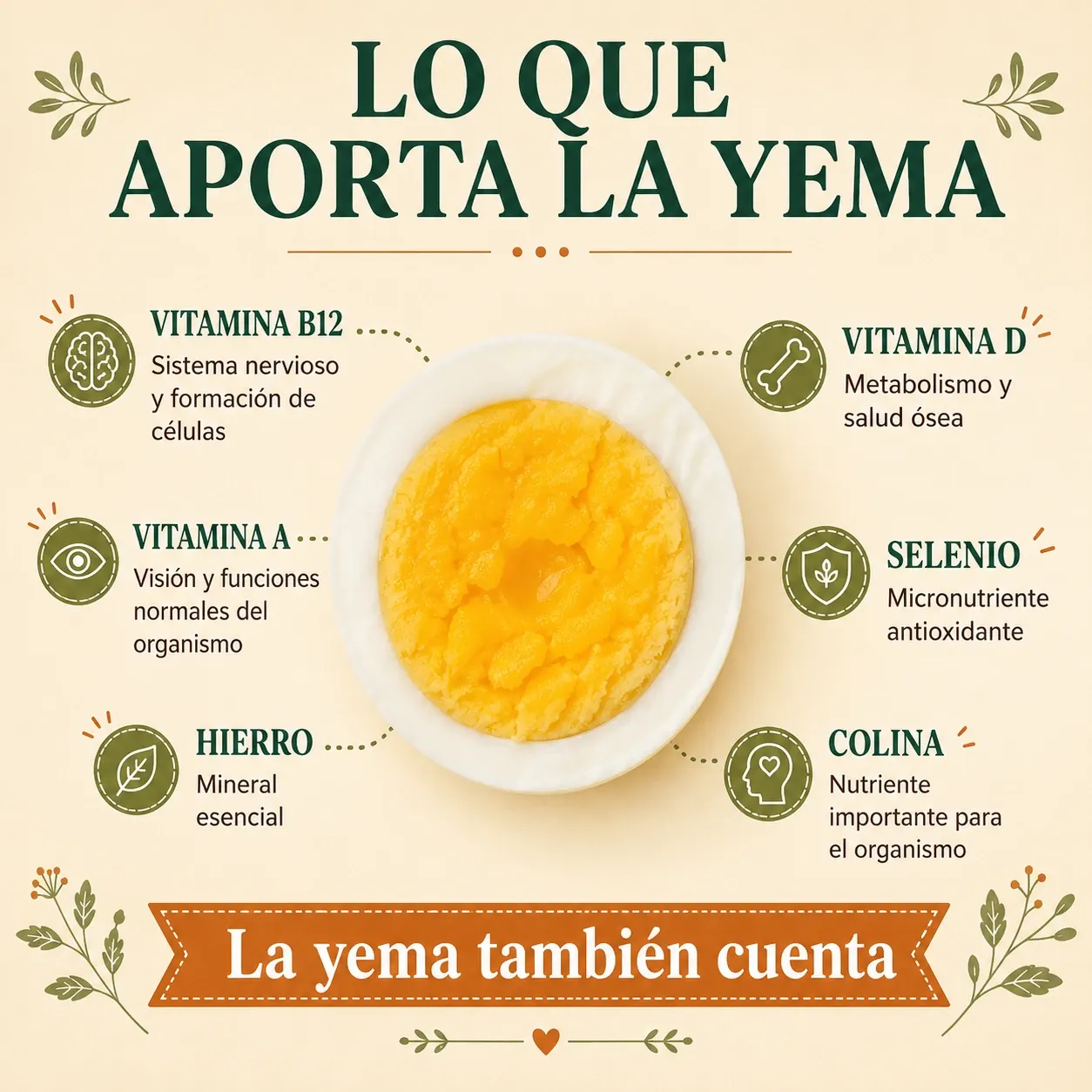 Infografía sobre vitaminas, minerales y colina del huevo duro